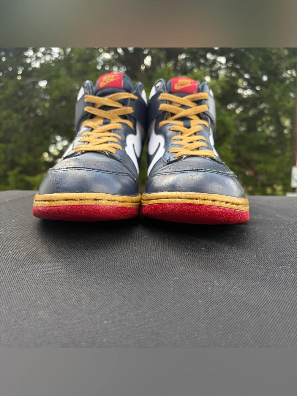 Nike Dunk High 2010 Olympic Winter Games Obsidian Gold 344648-141 Size 10.5